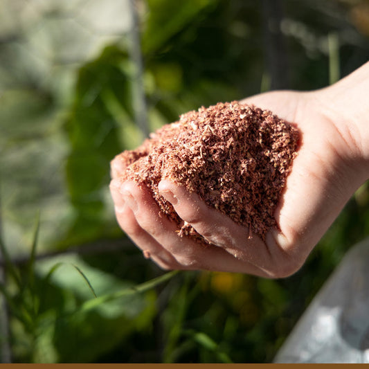 Eco-Friendly Cedar Granules for Home Perimeter Defense| Safe for Children & Pets
