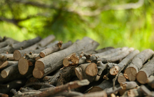 Ignite Fires Naturally| The Benefits, Uses, and Steps for Cedar Kindling Fire Starter Sticks