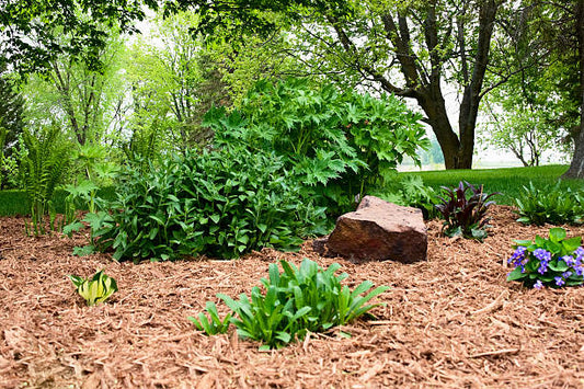 DIY Garden Art| How to Use Natural Cedar Wood Chips to Create Stunning Outdoor Designs