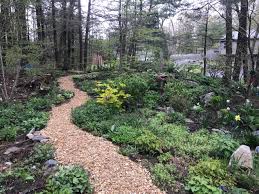 Building Sustainable Walkways and Paths with Cedar Wood Chips