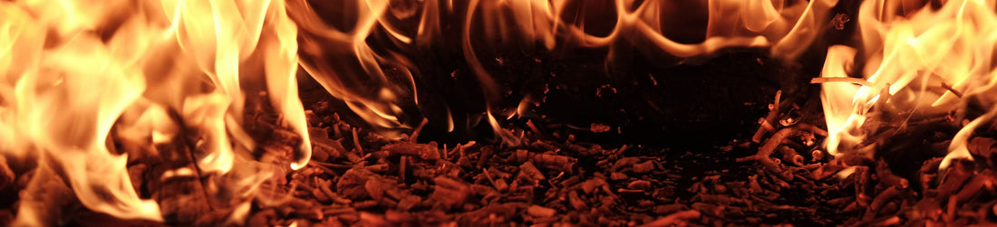 Unlocking the Potential of Cedar: Extracting Fatwood for Fire Starting