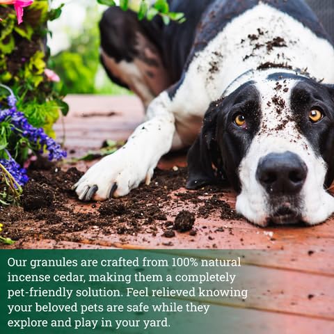Insect Defense Cedar Granules - All-Natural, Pet and Family Safe!